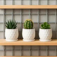 Kit 3 / 6 Mini Vasos Decorativos com Drenagem Ideal para Plantas / Suculentas / Jardim Vertical
