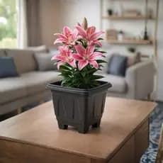 Vaso de Flor 4,5 L Plástico Forte Ideal para Jardim e Varanda