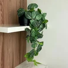 Arranjo Planta Artificial Pendente Fitônia Realista Toque Natural Caída Prateleira Com Vaso Preto