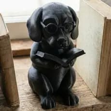 Cachorro Intelectual com Livro Decoração para Casa e Biblioteca