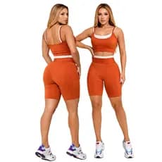 Conjunto Feminino Academia Bermuda Alta Compressão Top Bicolor Fitness Premium P ao G Confortavel Estiloso Tendencia