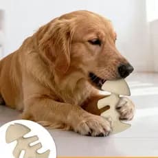 Brinquedo de Mordida para Cães Pequenos e Médios - Resistente ao Desgaste