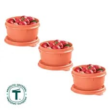 Kit 3 Potes Tupperware Tigelinha Pêssego 250ml