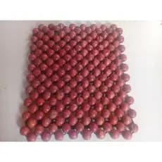 Assento Bolinha para Moto