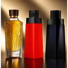 PERFUMES MASCULINOS IMPORTADO PREMIUM DURADOURO ENVIO RAPIDO