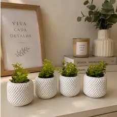 Kit até 4 Vaso de Plantas Suculentas Rendinha Vaso Decorativo em Gesso Com e Sem Planta