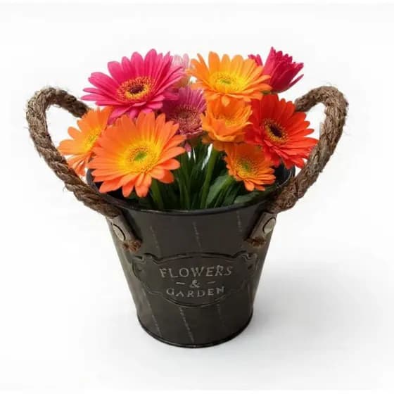 Cachepô Balde Vintage Decorativo Planta Vasos Jardim Flor