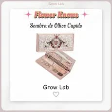 FLOWER KNOWS Paleta de maquiagem completa da série Strawberry Cupid: Paleta completa de maquiagem facial (paleta de