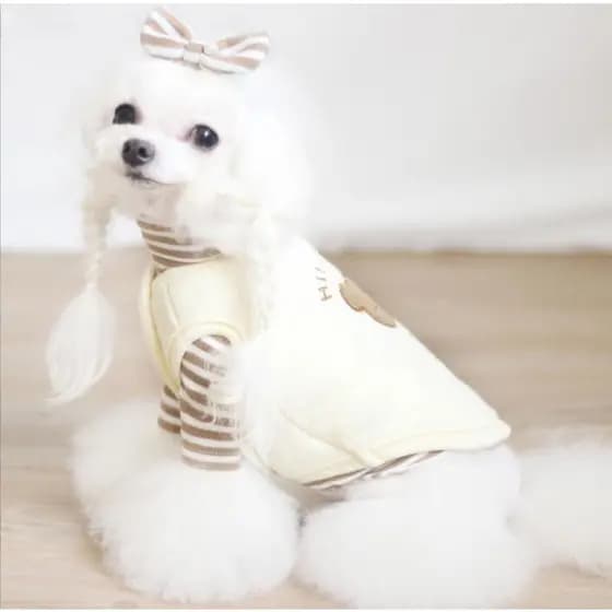 Casaco de Inverno para Animais de Estimação Pequenos e Médios em Veludo com Design Fofo para Cães e Gatos YHTX