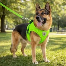 Coleira Peitoral para Pet – Confortável e Ajustável para Cães e Gatos passeio- verde