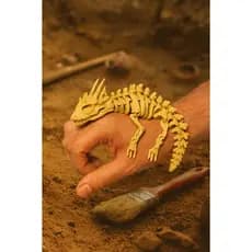 Esqueleto de Dragão Articulado Feito em PLA 3D Biodegradável Brinquedo Decorativo
