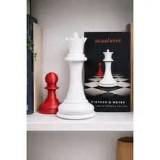 Peça Decorativa Saga Crepúsculo Amanhecer Peças de Xadrez Tamanho Igual ao Livro  Filme Edward Bella Jacob