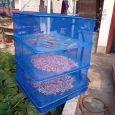 Gaiola dobrável para secagem de peixes e à prova de insetos para secar batatas-doces, rabanetes, vegetais e peixes; gran