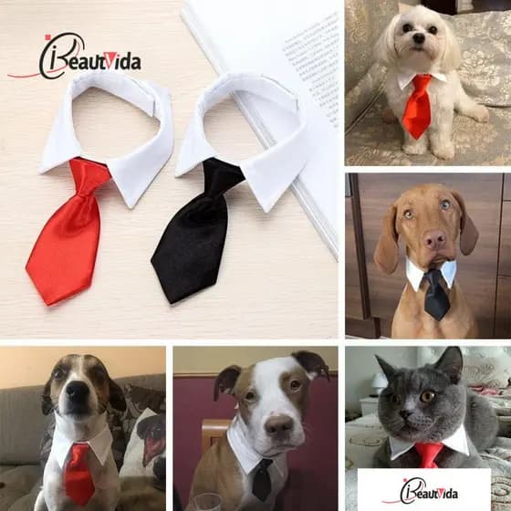 Gravata Para Cães Lovely Confortável Ajustável Grooming Tuxedo Bow Ties Pet Accessories