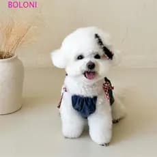BOLONI Roupas De Verão Para Animais De Estimação , Vestido Macio Respirável Cachorro , Suprimentos Design Fino De Desenh