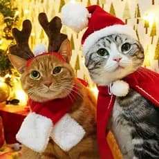 Chapéu de Natal para Gato e Cachorro para Decoração com Chifres de Gato / Tiara / Cachecol de Pelúcia EQJG