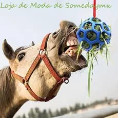 Alimentador De Feno De Pônei Asoes , Bola Circular De Tratamento De Cavalo TPR , Gado De Brinquedo De Alimentação Suspen