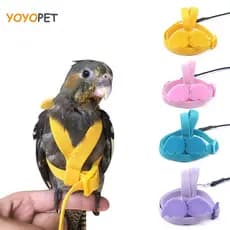 Papagaio Voando Arnês Trela Terno Pássaro De Estimação Ao Ar Livre Treinamento De Vôo Corda Cockatiel Suprimentos Arara