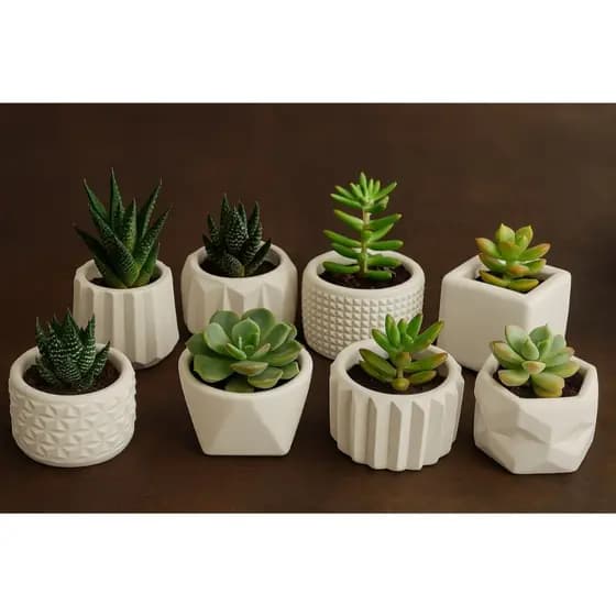 Kit até 8 Vasinhos Decorativos para Plantas Artificiais