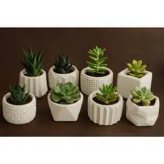Kit até 8 Vasinhos Decorativos para Plantas Artificiais