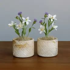 Kit 2 Vasos Decorativos Gesso Marmorizado Cachepô para Suculentas Plantas Pequenas Decoração Moderna Sala Mesa