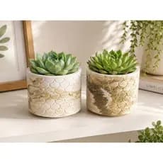 KIT 2 ou 4 Unidades DE Vasinho e Vasos Decorativos DE Gesso P/ Plantas Cactos, Suculentas reais Artificiais - Envio Full
