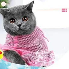 Saco De Banho Para Gatos De 1a Geração-Artefato Fixo Lavagem De Animais De Estimação Amarelo