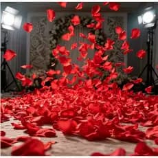 1000Pétalas De  Rosas Artificiais Vermelha Casamento Noivas Decoração Para Decoração
