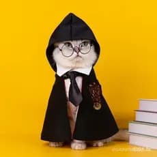 Roupas Para Animais De Estimação Cosplay Colégio Pequenas Mágicas De Primavera E Outono Cães Shawl Cat O Halloween