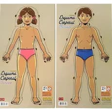 Esquema Corporal Mdf 22 Peças Masculino e Feminino Biologia Em Madeira Material Educativo Original