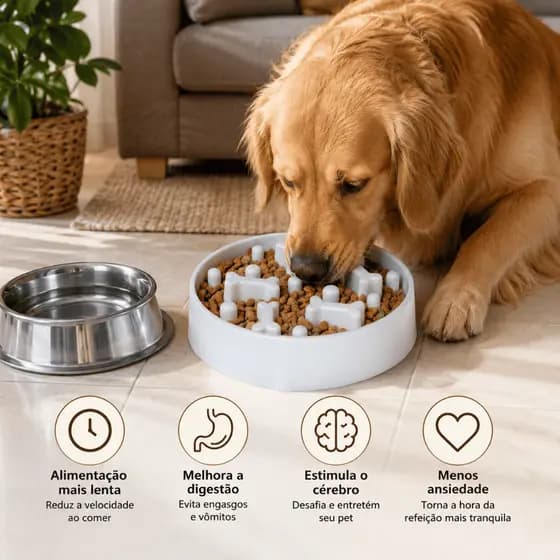 Comedouro Interativo lento  Anti Ansiedade para cães e gatos vasilhas pratinho para ração