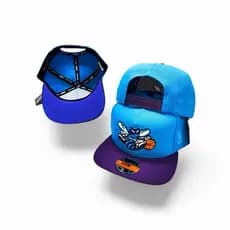 Boné Charlotte Hornets Aba Reta Snapback Premium Bordado Ajustável Estilo NBA