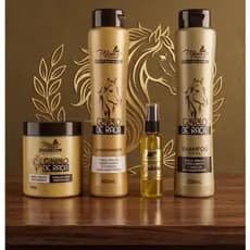 Kit Capilar Profissional Cavalo de Raça Minas Fórmula