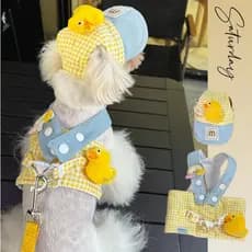 Festa Junina Capa de Chuva + Colete Moda Pet Verão  Macaquinhos com Chapéu de Do