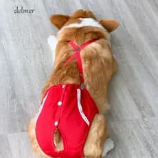 DELMER Calcinha Sanitária Para Cachorro Cuecas Corgi Lavável Fralda Bulldog Francês