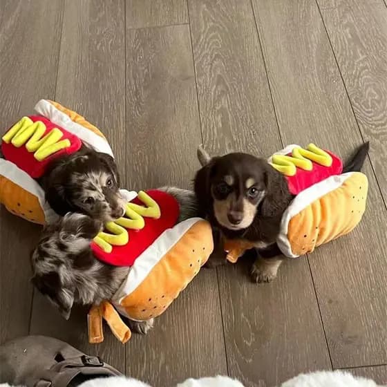 Engraçado Trajes De Cachorro De Halloween Em Forma-Quente Salsicha De Dachshund Roupas Ajustáveis Vestuário Para Animais