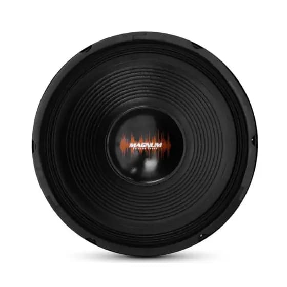 Alto Falante 12 Polegadas 300w PMPO Magnum Seco Woofer 8 OHMS Seco