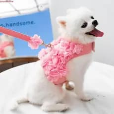 JUNYUE Conjunto De Coleira Para Cães , Arnês Estilo Colete Ajustável Kawaii Animais De Estimação , Vestido De Renda , Al