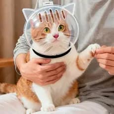 Hi * Gatos Espaço Capacetes Capa Cabeça Anti-Morder Transparentes Bolha Focinho Para Grooming E Viagens