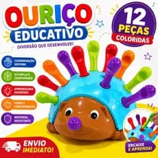 Ouriço Colorido Brinquedo Educativo Aprendizagem Sensorial Coordenação Motora Bebê Infantil Criança
