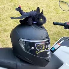TKEY Decoração De Capacete De Motocicleta , Dragão Voador , Boneca De Pelúcia Para Moto , Bicicleta , Acessórios De Chap