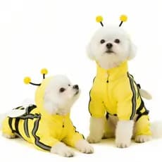 Capa de Chuva Abelha para Cachorro, Impermeável Quatro Pernas, Ideal para Cães Pequenos