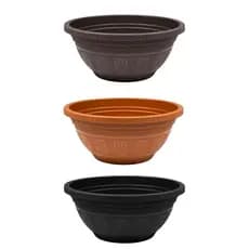 Kit 10 Vasos Cuia Redondo 6L Plástico Resistente para Rosa do Deserto