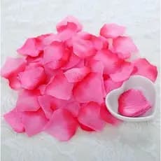 3000 Pcs Pétalas Rosas Para Artesanato E Decoracao Em Pacotes Individuais Practiceis E Muito Aromaticas