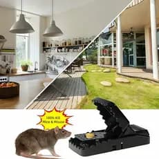 Kit 4 Ratoeiras Plásticas de Alta Sensibilidade - Armadilha para Ratos Reutilizável e Lavável