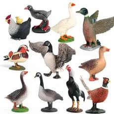 Farm PVC Action Figures para Criança Modelo de Aves De Animais Ganso Pato Bandos Porco Galinha Coelho Turquia Brinquedo