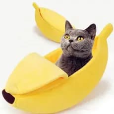Casinha Cachorro Caminha Pet Gato Banana Cama Pelucia Grande  Portatil Almofada Caes Viagem Toca