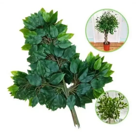 Kit 60 Galhos Folha De Ficus Artificial Decoração Folhagem