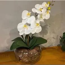 Kit Haste De Orquidea Branca Artificial Silicone Com Folha De Orquídea Verde Artificial Arranjo Completo