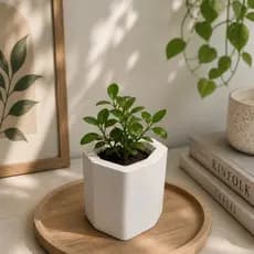 Kit de 5 á 20 mini vasinhos formato coração   - ideal para suculentas e velas